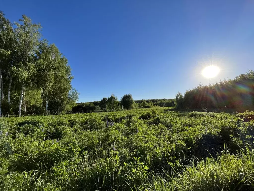 Участок в Владимирская область, Собинский район, д. Новоселка  (20.0 ... - Фото 1