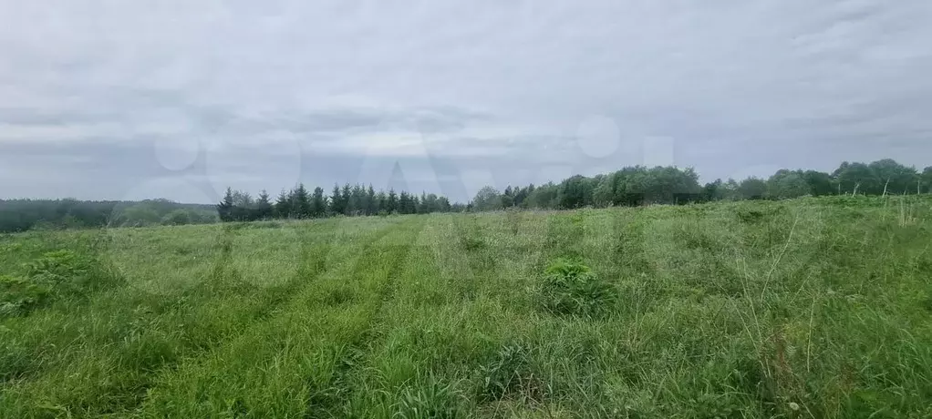 Участок 6,05 га (СНТ, ДНП) - Фото 1