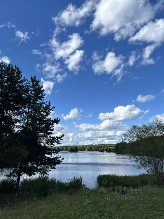 Участок в Кировская область, Кирово-Чепецкий район, Пасеговское с/пос, ... - Фото 1