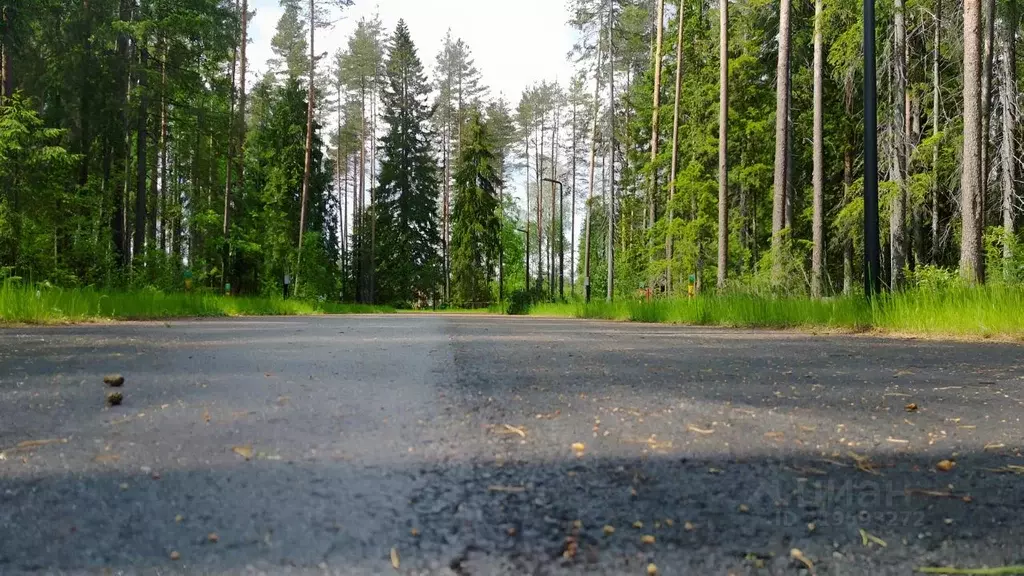 Участок в Ленинградская область, Выборгский район, Рощино пгт, КП ... - Фото 1