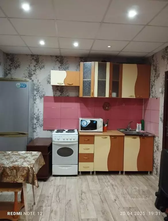 Студия Красноярский край, Красноярск ул. Ладо Кецховели, 69 (25.0 м) - Фото 0