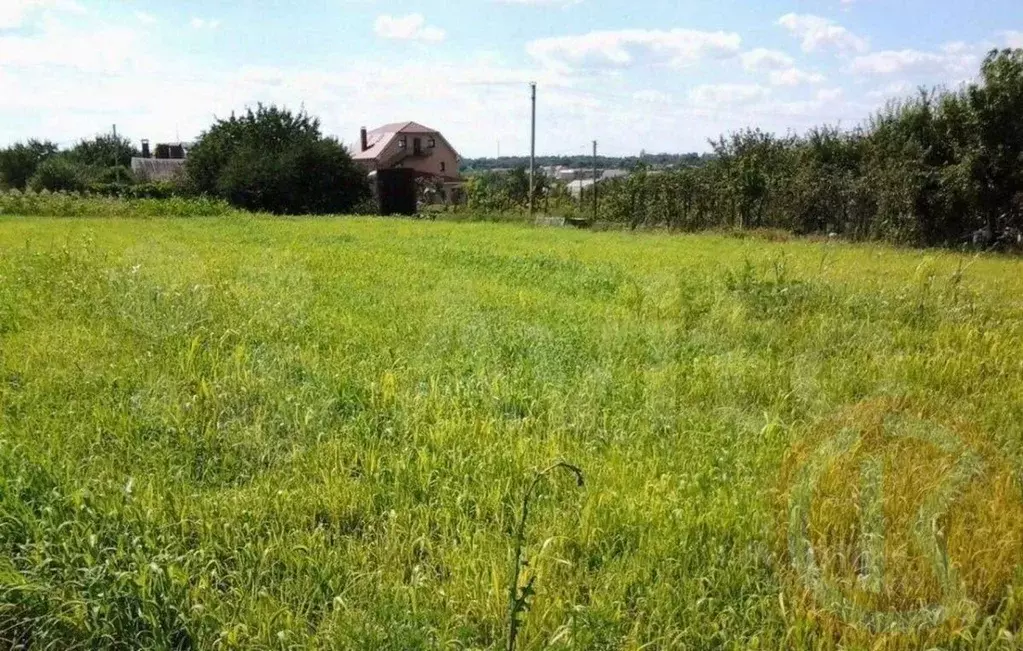Участок в Крым, Саки Химик-1 СНТ,  (4.0 сот.) - Фото 1