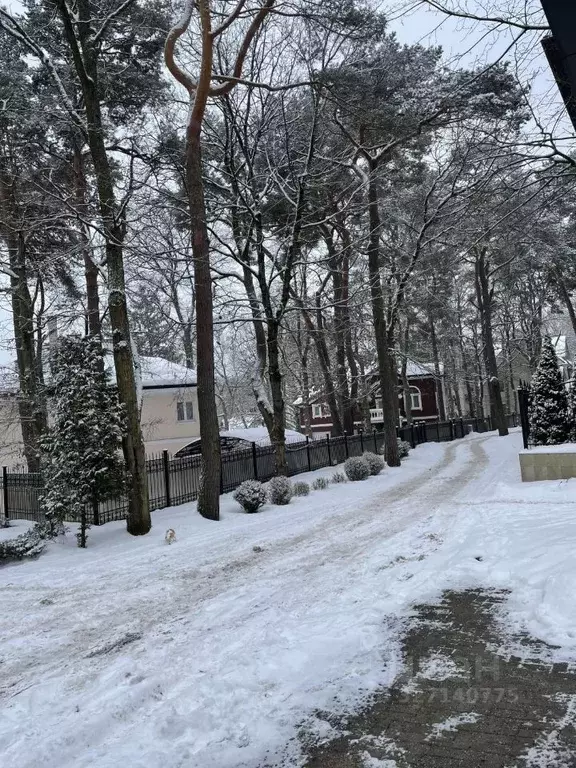 2-к кв. Калининградская область, Светлогорск ул. Некрасова, 1А (51.0 ... - Фото 2