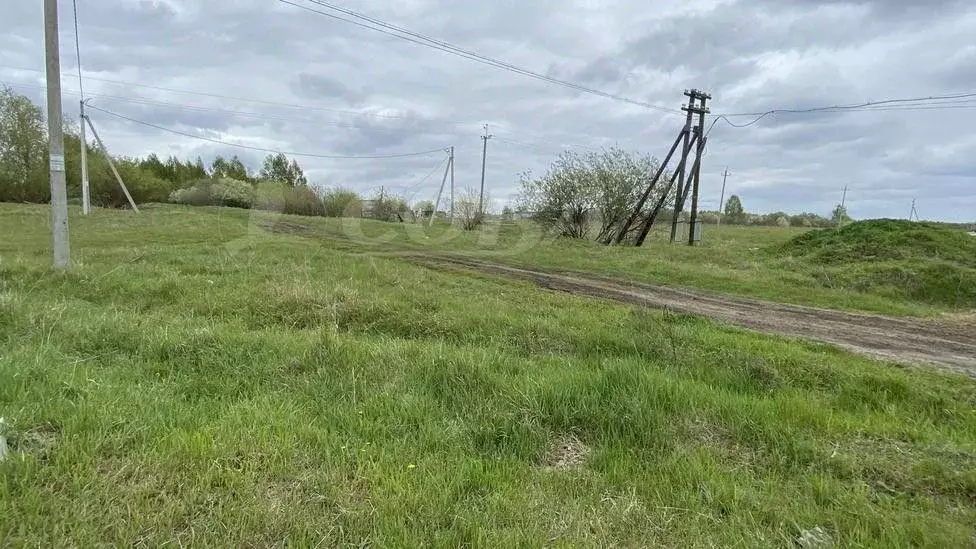 Участок в Тюменская область, Исетский район, с. Солобоево Октябрьская ... - Фото 1