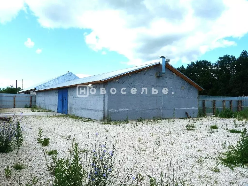 Помещение свободного назначения (280 м) - Фото 1