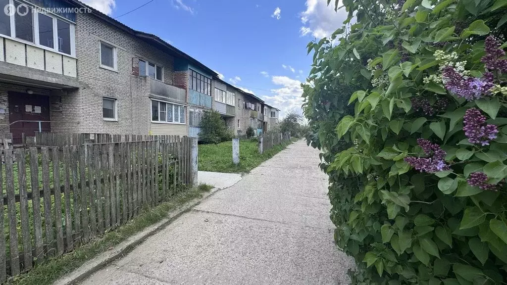 2-комнатная квартира: село Нижнее Хорошово, Центральная улица, 4 (50 ... - Фото 1