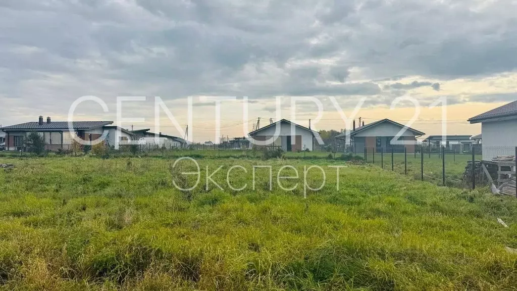 Участок в Калининградская область, Гурьевский муниципальный округ, ... - Фото 2