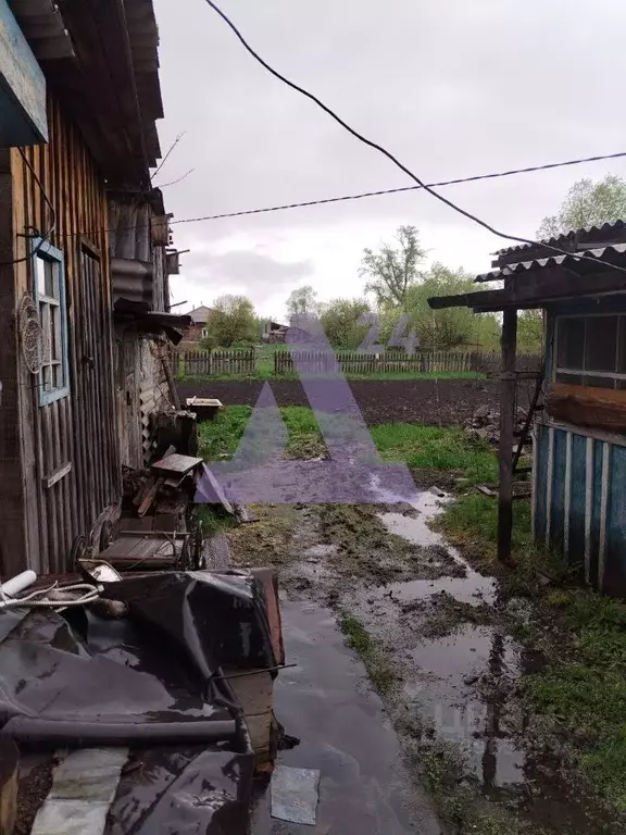 Дом в Алтайский край, Тальменский район, с. Луговое Молодежная ул. (70 ... - Фото 0