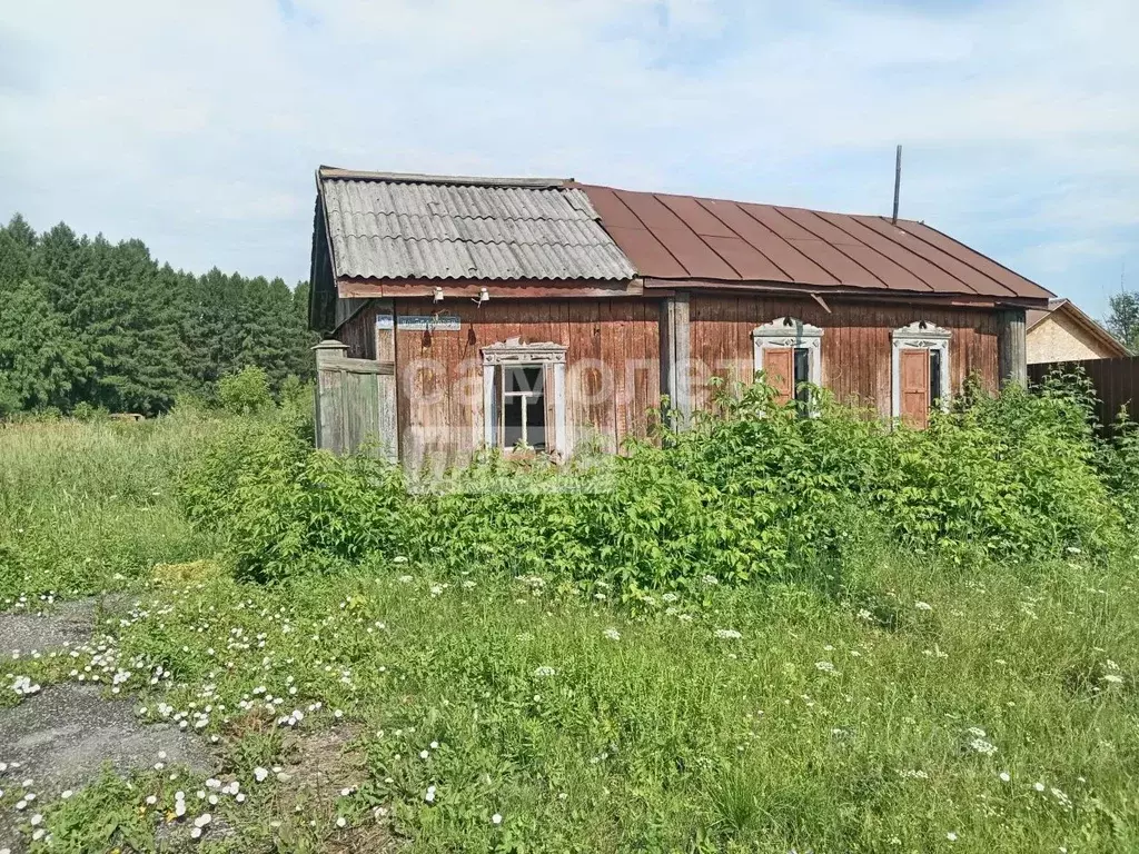 Участок в Тюменская область, Ишимский район, д. Таловка Лесная ул., 4 ... - Фото 1
