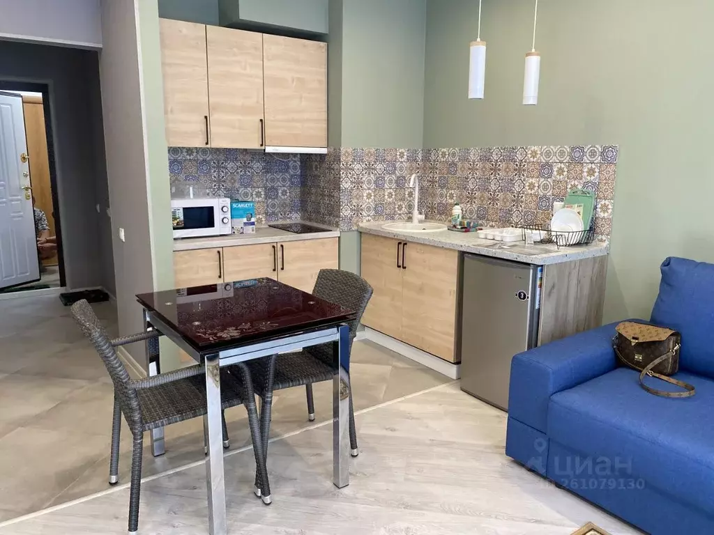 1-к кв. Московская область, Звенигород Одинцовский городской округ, ... - Фото 1