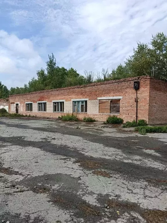 Помещение свободного назначения в Новосибирская область, Тогучинский ... - Фото 0