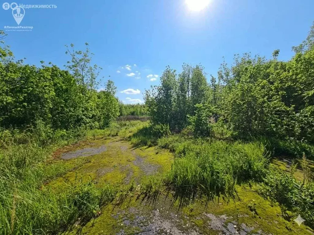 Помещение свободного назначения (456 м) - Фото 2