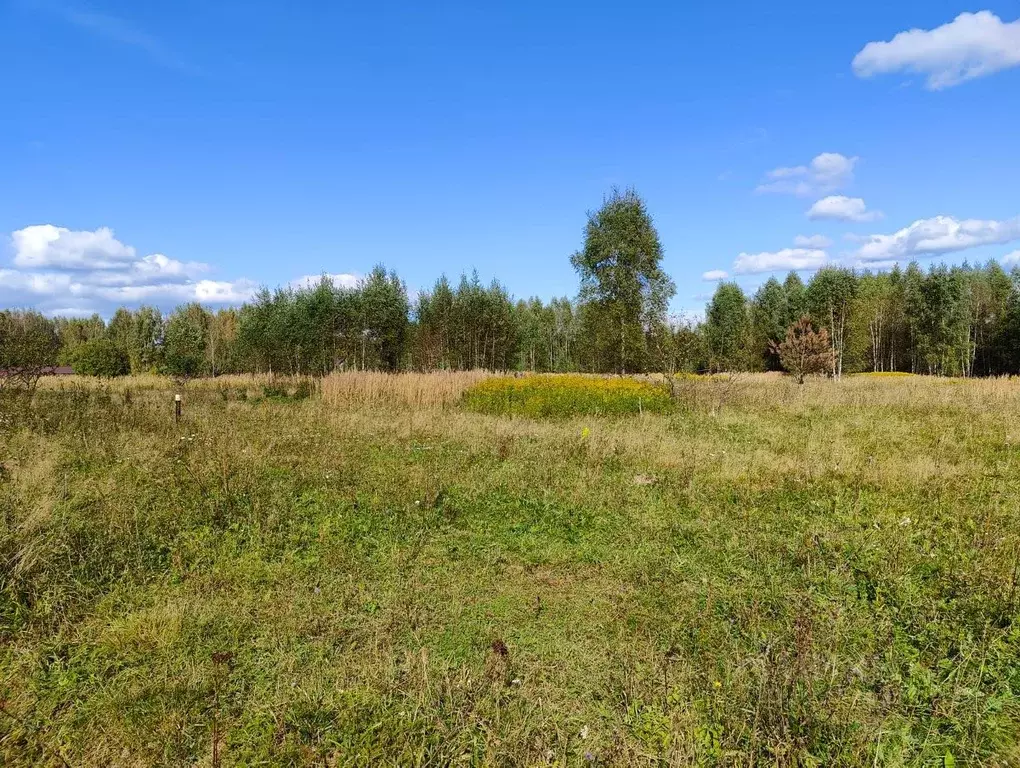 Участок в Тверская область, Конаковский муниципальный округ, д. ... - Фото 1