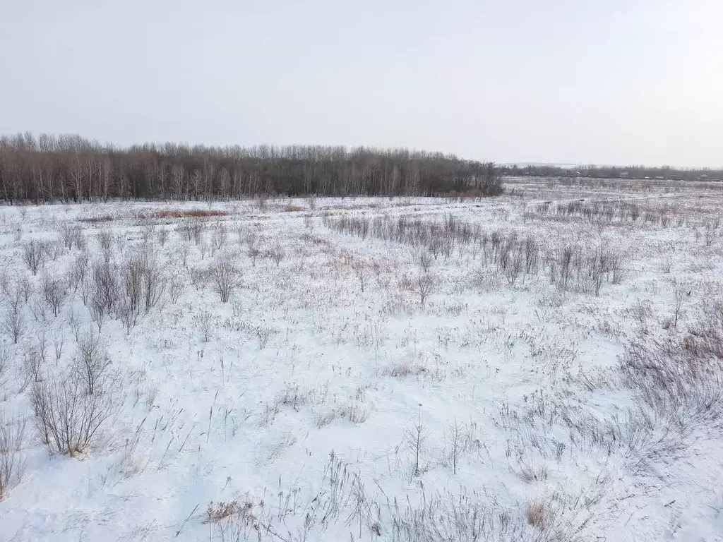 Участок в Хабаровский край, Хабаровский район, с. Рощино  (8.3 сот.) - Фото 1