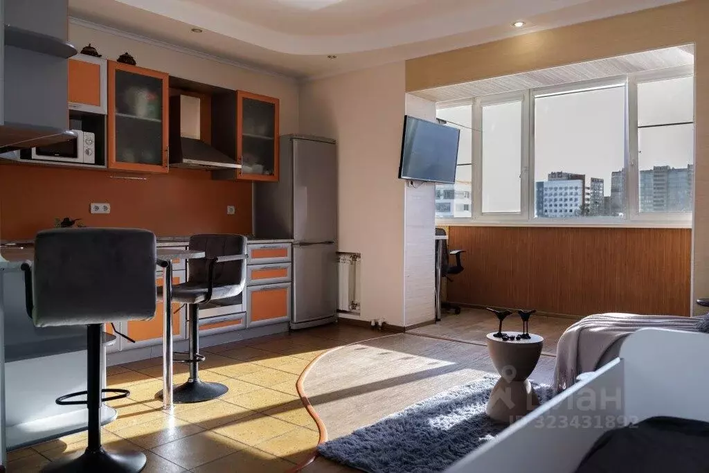 Студия Амурская область, Благовещенский район, с. Чигири ул. ... - Фото 1