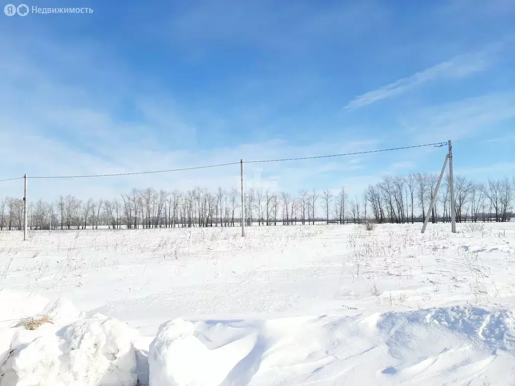 Участок в село Новая Усмань, улица Конструкторов, 105 (10 м) - Фото 2