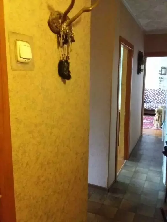 3-к кв. Новосибирская область, Искитим Шипуновский мкр, 2 (62.0 м) - Фото 1