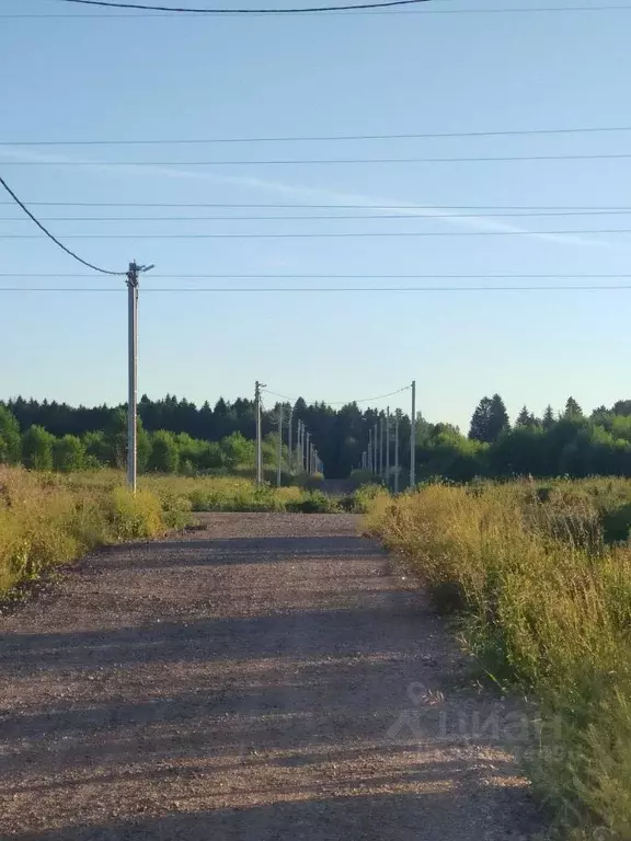 Участок в Ленинградская область, Ломоносовский район, Лопухинское ... - Фото 0