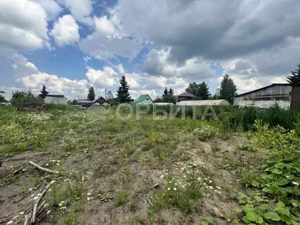 Участок в Тюменская область, Тюмень Росинка СНТ, ул. 1-я (10.0 сот.) - Фото 1