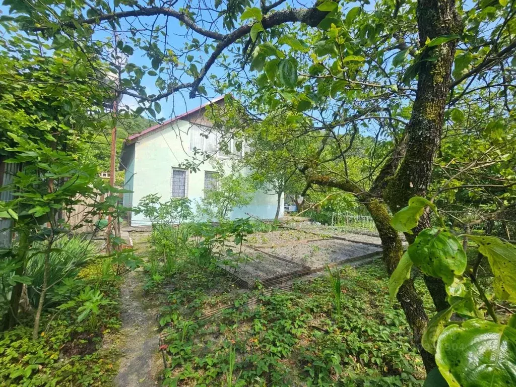 Дом в Краснодарский край, Сочи городской округ, с. Пластунка ул. ... - Фото 1