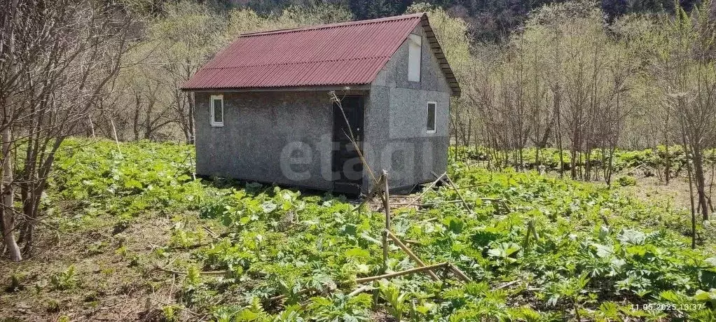 Участок в Сахалинская область, Невельск  (200.0 сот.) - Фото 2