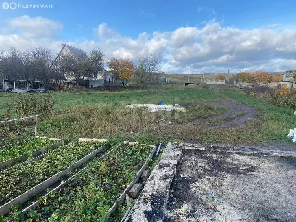 Участок в село Ястребово, улица Кидалова (29.28 м) - Фото 2