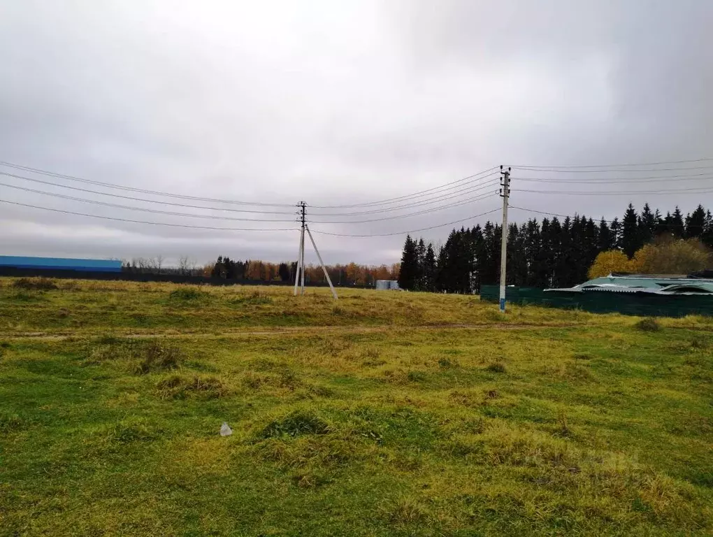 Участок в Московская область, Солнечногорск городской округ, д. ... - Фото 1