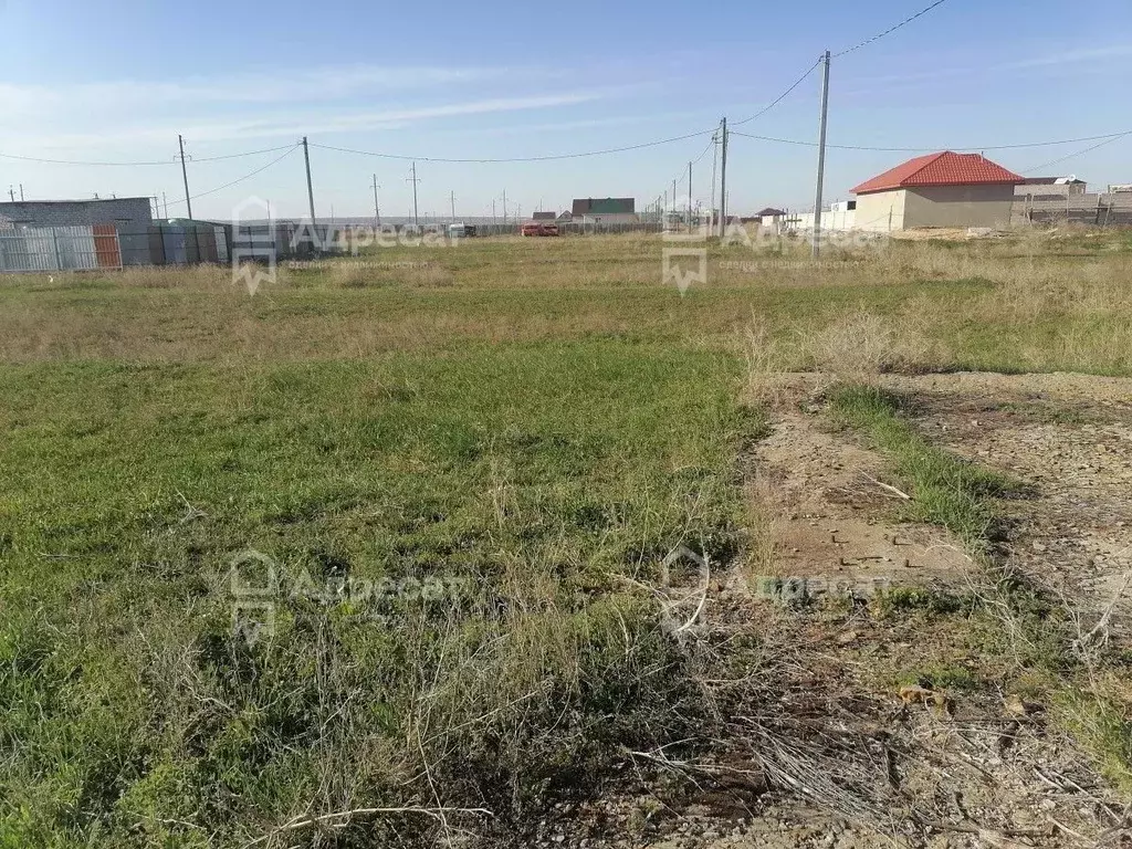 Участок в Волгоградская область, Светлоярский район, с. Большие ... - Фото 2
