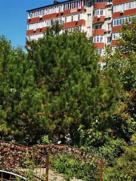 2-к кв. Краснодарский край, Анапа ш. Симферопольское (72.0 м) - Фото 2