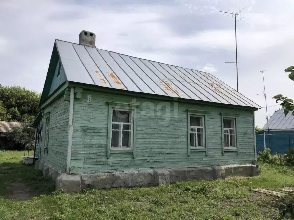 Дом в Тамбовская область, с. Сампур пер. Ленинский, 12 (46 м) - Фото 2