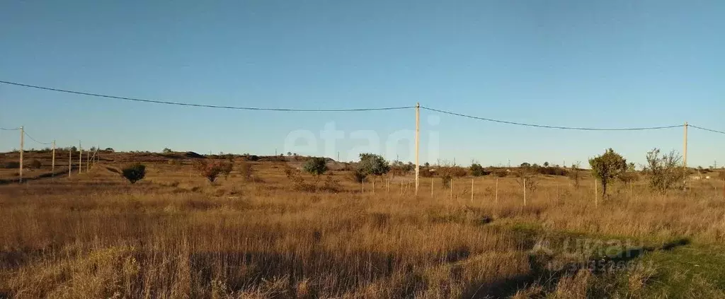 Участок в Крым, Керчь Дельфин садовое товарищество, ул. Тенистая (5.05 ... - Фото 0