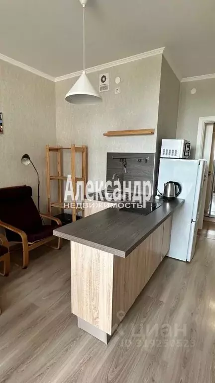 1-к кв. Санкт-Петербург дор. Кушелевская, 1к2 (24.5 м) - Фото 1