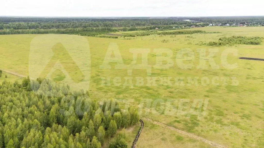 Участок в Тюменская область, Тюменский район, д. Речкина  (10.08 сот.) - Фото 1