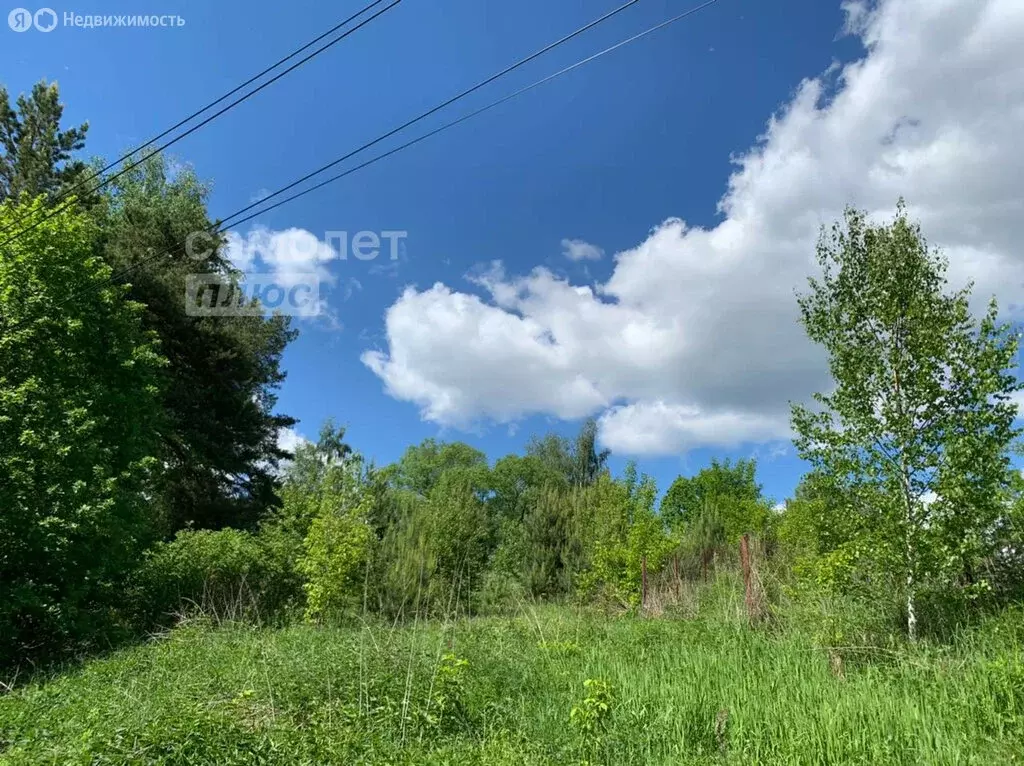 Участок в Одинцовский городской округ, деревня Молоденово (60 м) - Фото 0