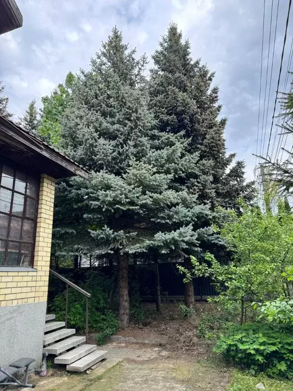 Дом в Московская область, Видное Сосновый Бор мкр, 76 (319 м) - Фото 1