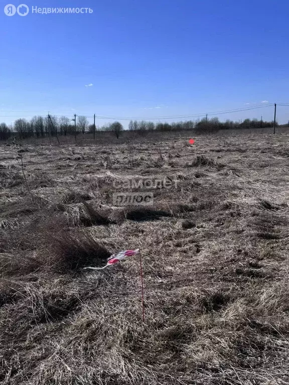 Участок в Любанское городское поселение, деревня Ильинский Погост ... - Фото 2