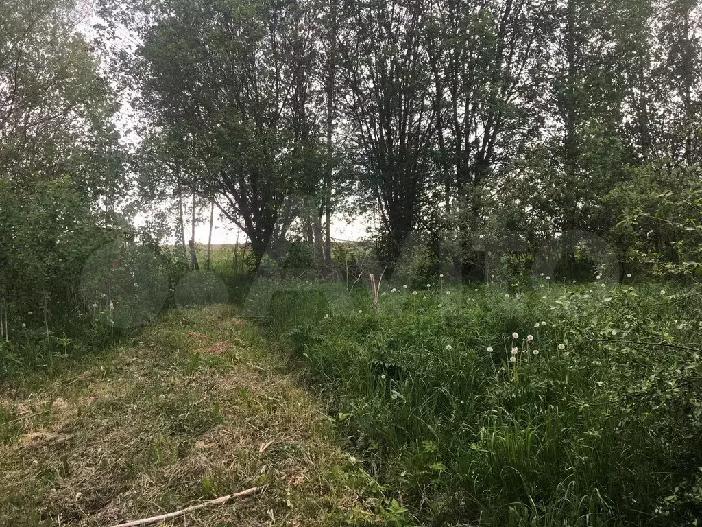 Участок 9 сот. (СНТ, ДНП) - Фото 0