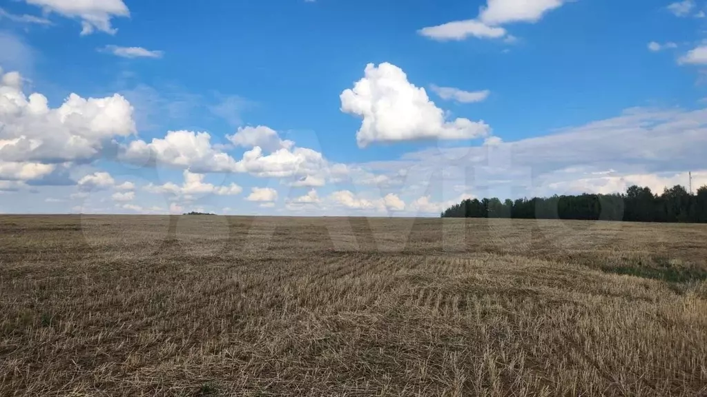 Купить Участок Ижс Лаишевский Район