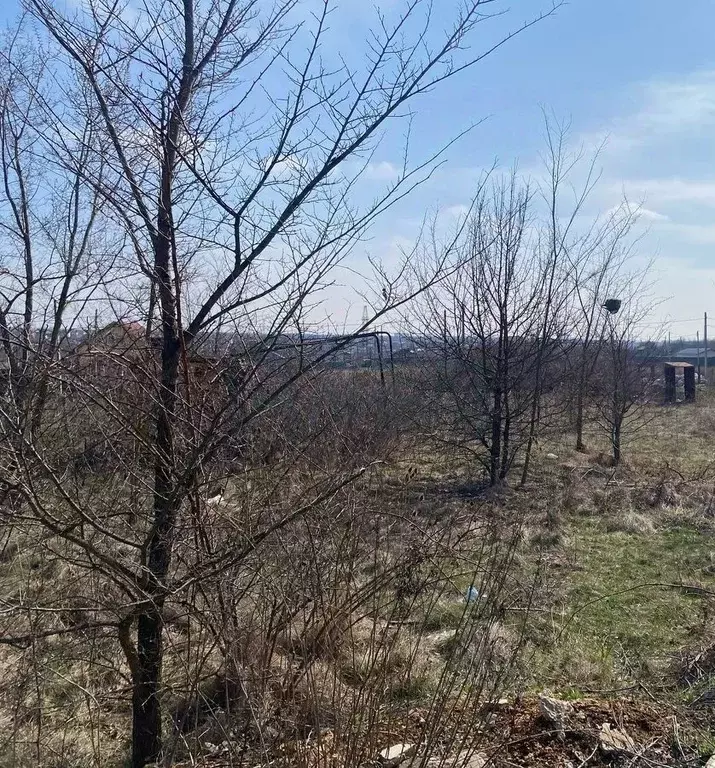 Участок в Ростовская область, Каменский район, Красновка хут., ... - Фото 0
