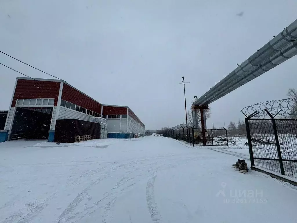 Склад в Новосибирская область, Новосибирск Станционная ул., 30Г (6500 ... - Фото 2