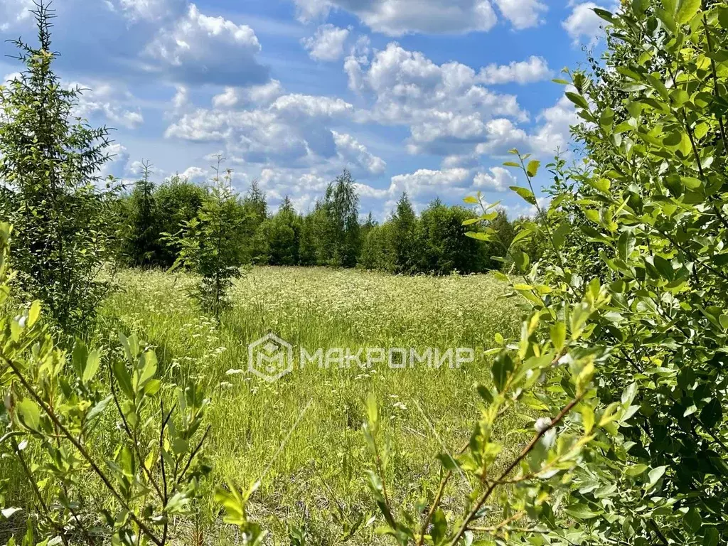 Участок в Ленинградская область, Гатчинский район, Дружногорское ... - Фото 1