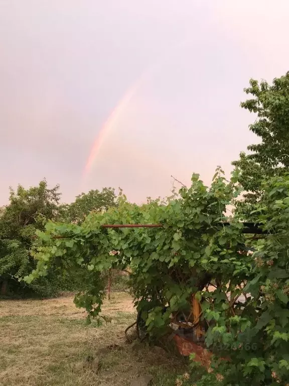 Дом в Краснодарский край, Ейское с/пос, пос. Октябрьский пер. 1-й ... - Фото 1