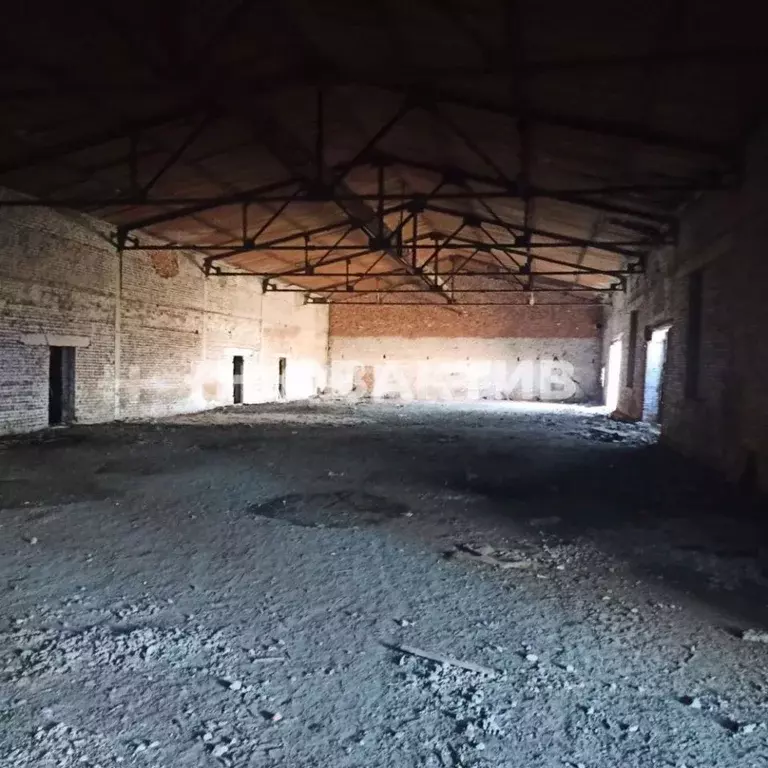 Производственное помещение в Новосибирская область, Коченево рп ул. ... - Фото 2