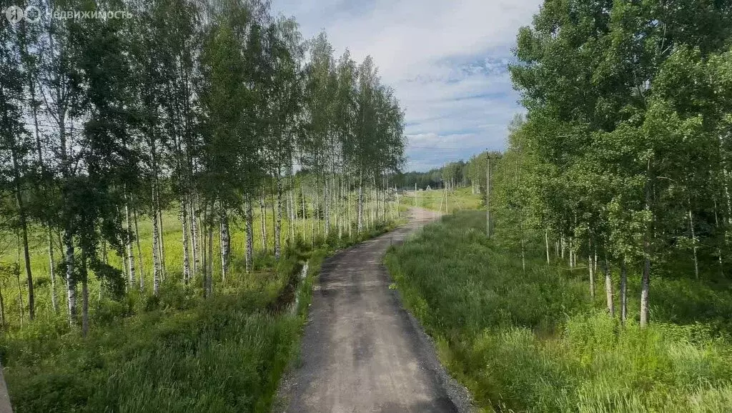 Участок в Куйвозовское сельское поселение, КП Грузино Сити (7 м) - Фото 1