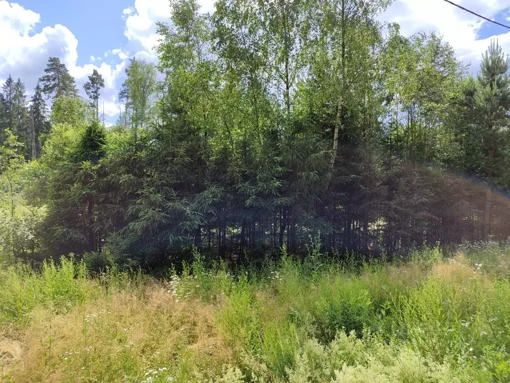 Участок в Московская область, Рузский городской округ, д. Сытьково  ... - Фото 1