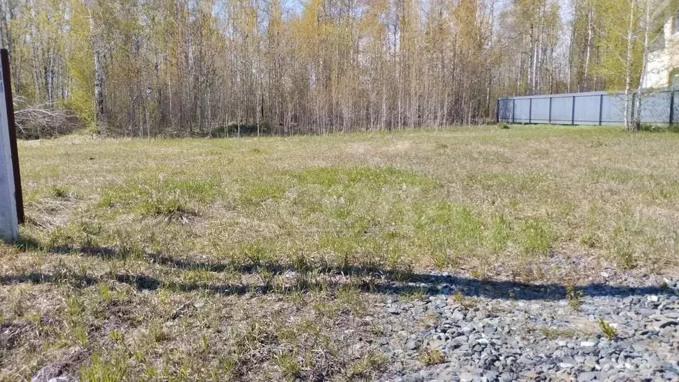 Участок в Тюменская область, Тюменский район, с. Гусево ул. Имени ... - Фото 1