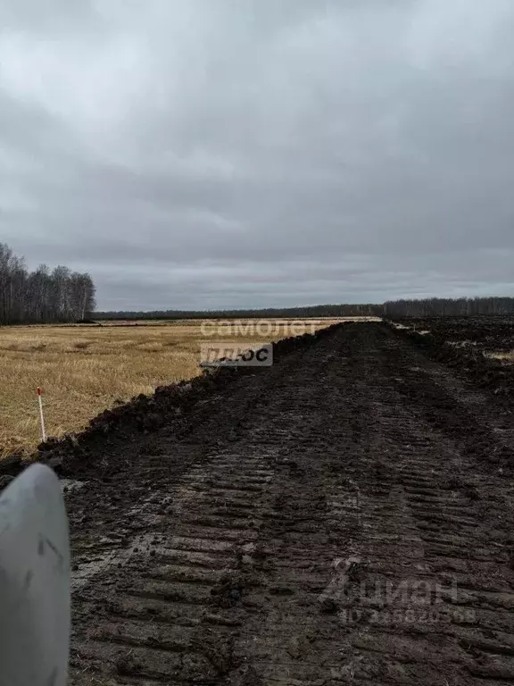 Участок в Тюменская область, Тюменский муниципальный округ, с. ... - Фото 2