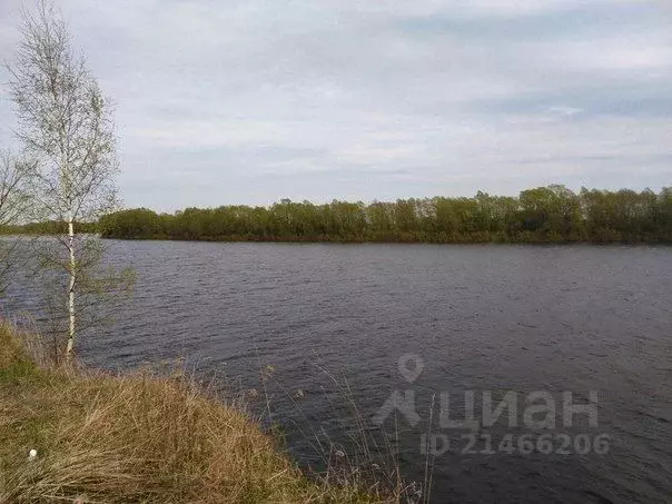 Участок в Новгородская область, Новгородский район, Бронницкое с/пос, ... - Фото 1