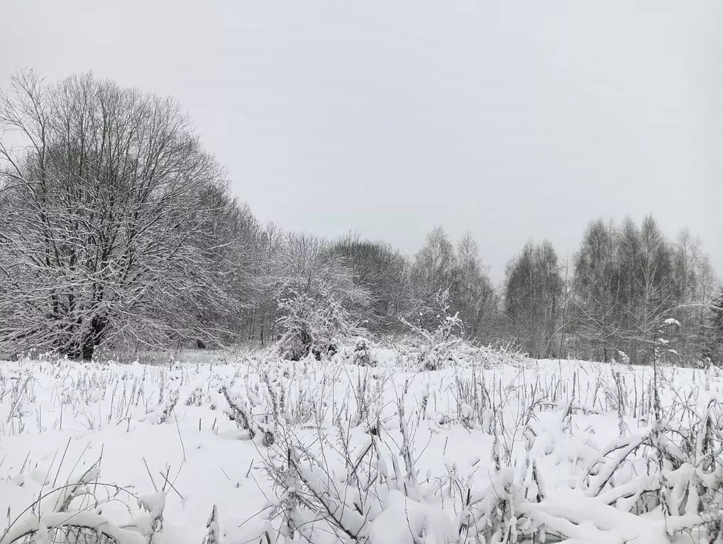 Участок в Московская область, Клин городской округ, д. Алферьево  ... - Фото 1
