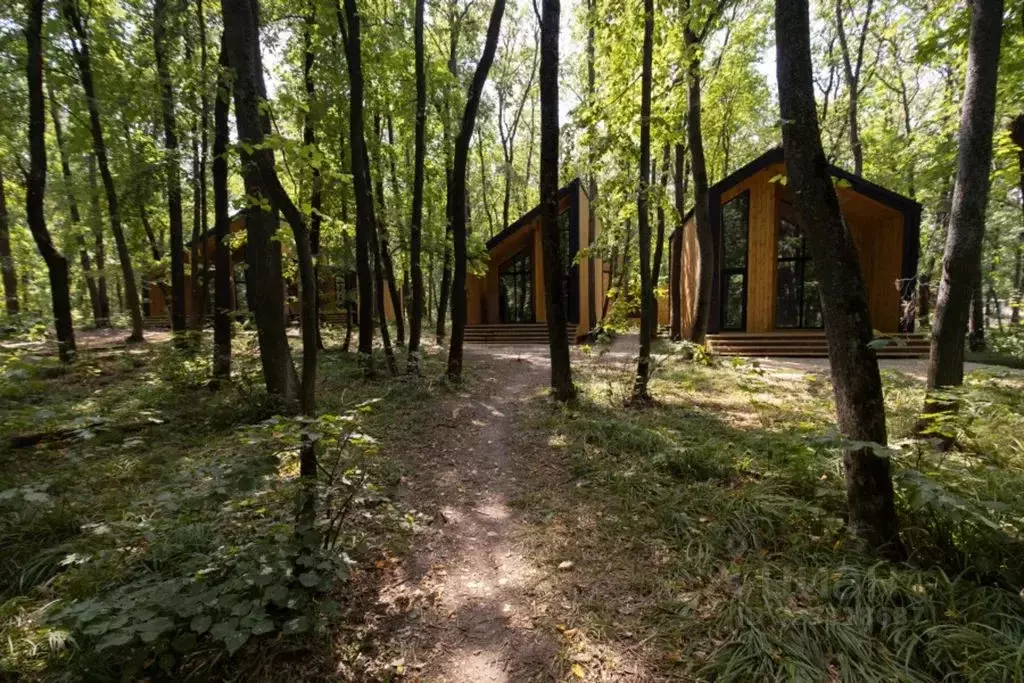 Дом в Воронежская область, Рамонский район, Горожанское с/пос, ООО ... - Фото 1